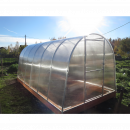 Теплица Сибирская Мини 6x2 м, с УФ-защитой, каркас 20x20 мм, оцинков.