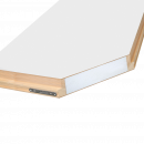 Лестница чердачная Fakro LWT THERMO 70x130x305 с поручнем Лестница чердачная Fakro LWT THERMO 70x130x305 с поручнем
