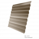 Профнастил Grand Line C10 0,5 мм покрытие Satin® заказной цвет